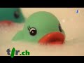 certains joujoux pour adultes contiennent des phtalates, des substances chimiques consid�r�es comme toxiques pour la reproduction humaine. les phtalates sont des d�riv�s de produits p�troliers utilis�s pour assouplir et adoucir le plastique, surtout le pvc. dans les ann�es 80 d�j�, certains phtalates ont commenc� � �veiller des soup�ons quant � leur toxicit�, dont le dehp, le plus utilis� dans le monde. plus de vid�os: http://www.tsrvideo.ch