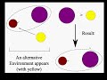 Altruism, group forming, aggression -- video-article from PSY2.ORG Altruism, group forming, aggression -- video-article from PSY2.ORG