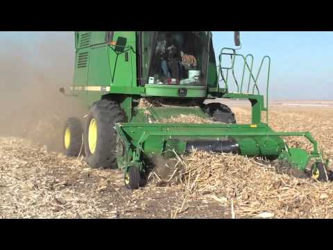 how to harvest down corn