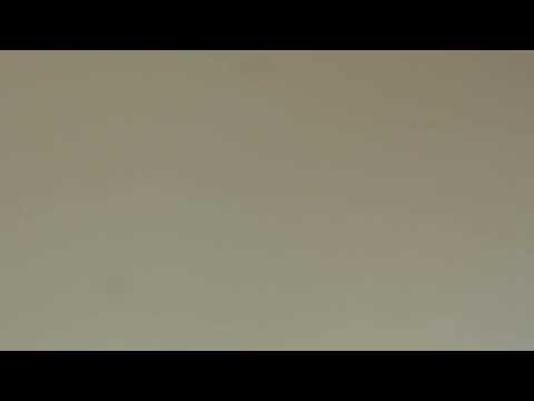 Habilitation in english picture