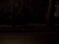 disc golf shots