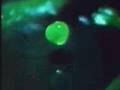 Waterdrop experiment, Stroboscope light.