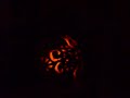 Legba Veve on pumpkin for Samhain