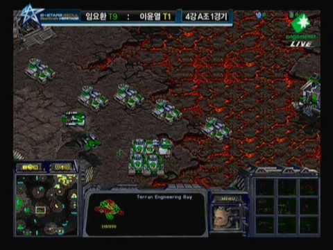 BOXERGREEN - Boxer - Green Terran - 9