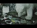 „Greenpeace“ Londone aptiko benamį baltąjį lokį