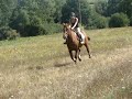 MOV04259