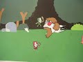 Castle Crashers Animation