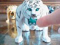 Cheetor, Tigatron & Panther Review Part 1
