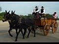 Great American Cattle Drive