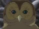 feeky owl eyes.html