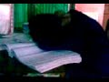 Video posted by mnaikat through RockeTalk