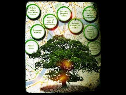 how to diagram a family tree