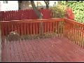 2277 Windsor SLC, UT 2277 Windsor SLC, UT