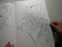 gongbi outline big book - peony gongbi outline big book - peony