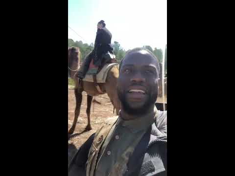 Behind The Scenes Of Camel Ridie In Jumanji The Next Level