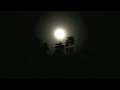 Rainforest Sounds at Night