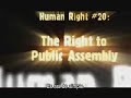Nadie puede arrebatarte tus derechos humanos Nadie puede arrebatarte tus derechos humanos