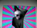 sunvector sign photoshop tutorial by nahee