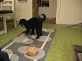 MVI_1922.avi