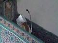 minik imam'dan hutbe ziyafeti...