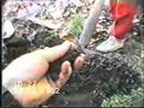 Tratto da un filmato che ho realizzato nel 1993, in collaborazione con LEGAMBIENTE, sul riciclo del rifiuto Organico, quando il problema dei rifiuti era ancora lontano....Taken from a movie that I made in 1993, in collaboration with LEGAMBIENTE, on the recycling of Staff refusal when the waste problem was still far ....