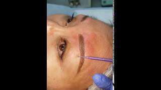 3D Eyebrows created by El Truchan