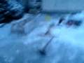 videos de MOV01450