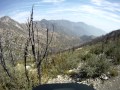 mt lowe 6 - 