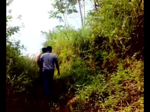 Wayanad video