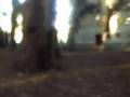 Default