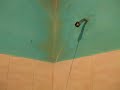 Peeing Wall