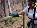 Zip lining in costa rica gone wrong