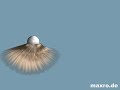 Cinema 4D Hair Simulation Cinema 4D Hair Simulation