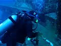 Florida Keys scuba diver on a wreck it\ Florida Keys scuba diver on a wreck it\