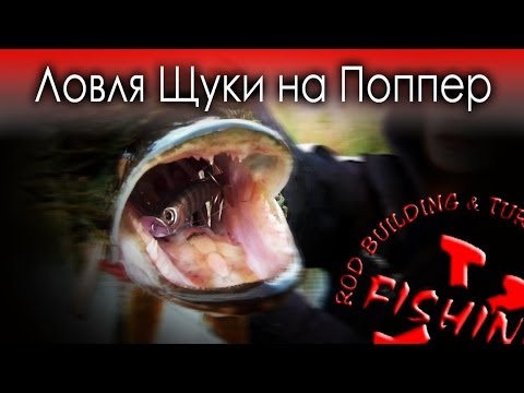 YouTube Трейлер