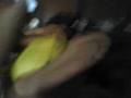 buboy and Marvin Wrestling!!!