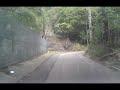 沙田坳道