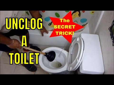how to unclog toilet with plunger