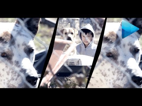 djbeto267 - We've all seen it at least once. You watch a music video and one of the effects you see is a strobe like frame by frame flash that goes to the beat. As reque...