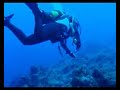 El Desierto, una inmersión en La Restinga, El Hierro El Desierto, una inmersión en La Restinga, El Hierro
