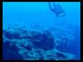 videos de El Desierto, una inmersión en La Restinga, El Hierro