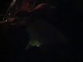 high-flyer.html