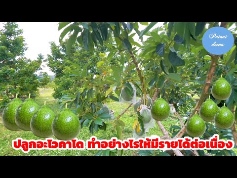 คุณตาเล็ก เป็นอีกต้นแบบหนึ่งในการเกษียณอย่างเกษม โดยการทำเกษตร