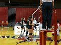 Volleyball Shorts