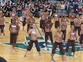 Cy-Ridge Dazzlers Cy-Ridge Dazzlers