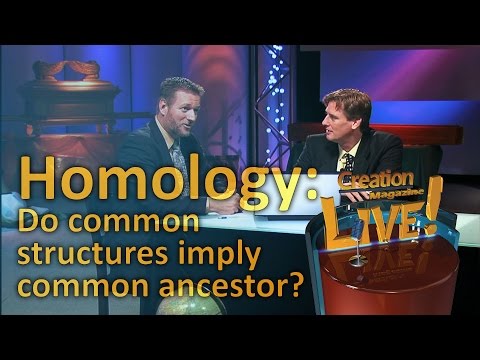 Homology — do common structures imply common ancestor? (Creation Magazine LIVE! 3-24)