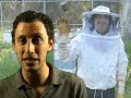 BEES!