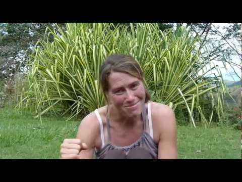how to eliminate lyme disease