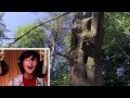 Planet Earth - Narrated By Kids