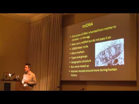 Genetic Ancestry Testing: Mitochondrial DNA – Dr Jim Wilson – BritainsDNA